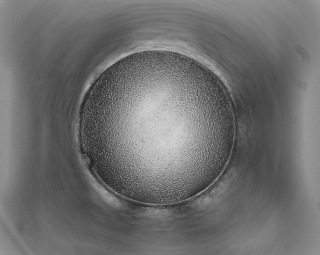 X0000111531525200907141518