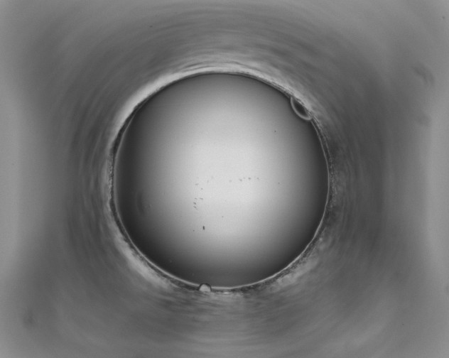 X0000111531526200907141518