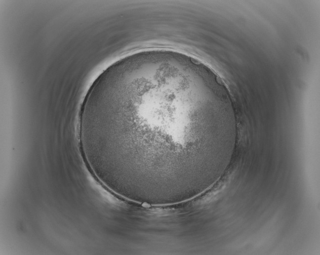 X0000111531527200907141518