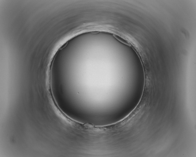 X0000111531528200907141518