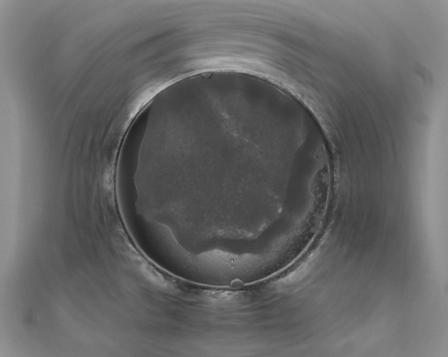 X0000111531529200907141518