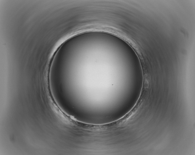 X0000111531530200907141518