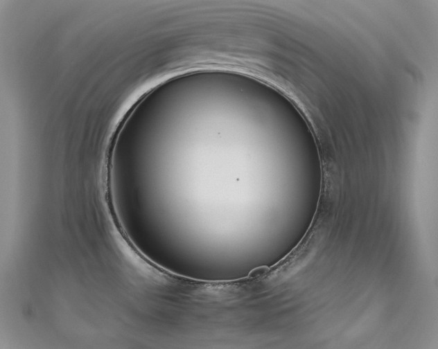 X0000111531531200907141518