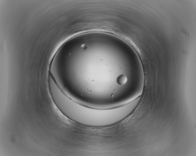 X0000111531532200907141518