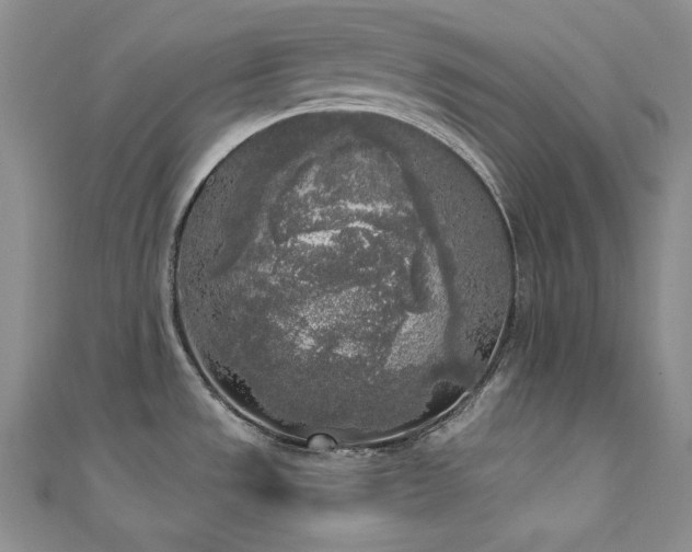 X0000111531533200907141518