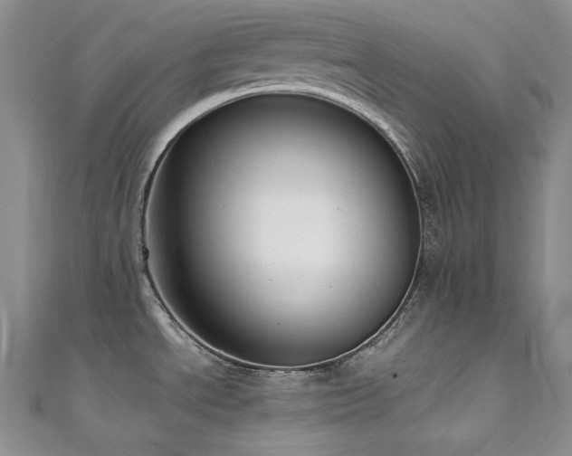 X0000111531534200907141518