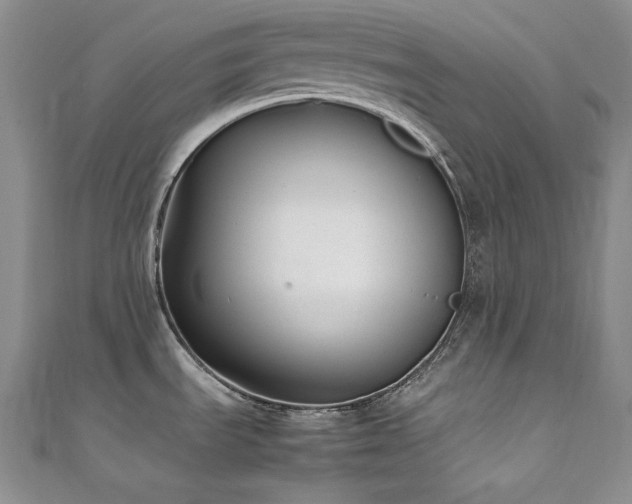 X0000111531535200907141518