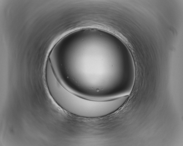 X0000111531536200907141518