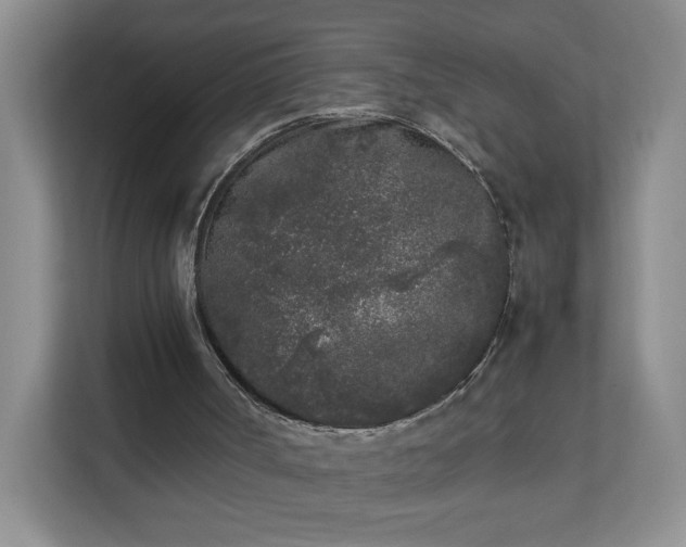 X0000111530002200907211254