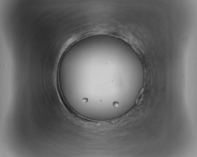 X0000111530003200907211254