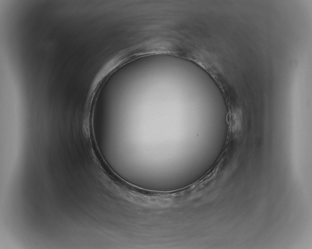 X0000111530004200907211254