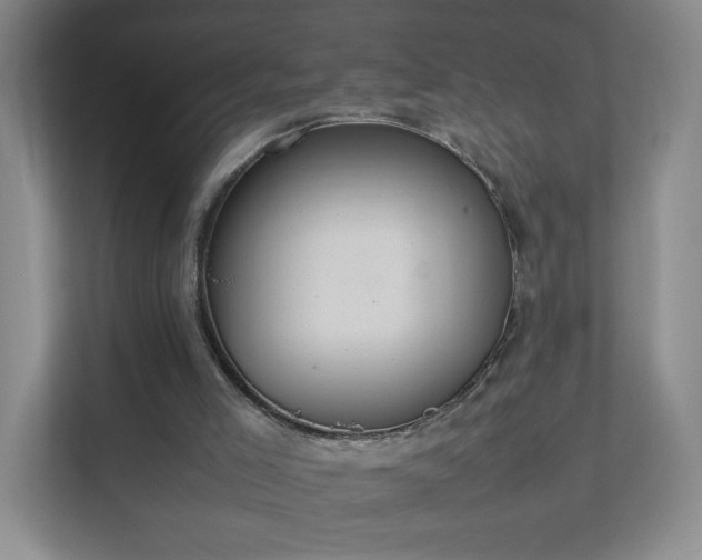 X0000111530005200907211254