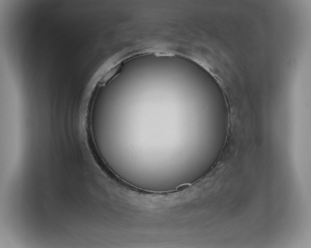 X0000111530007200907211254