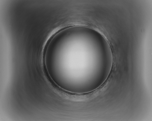 X0000111530008200907211254