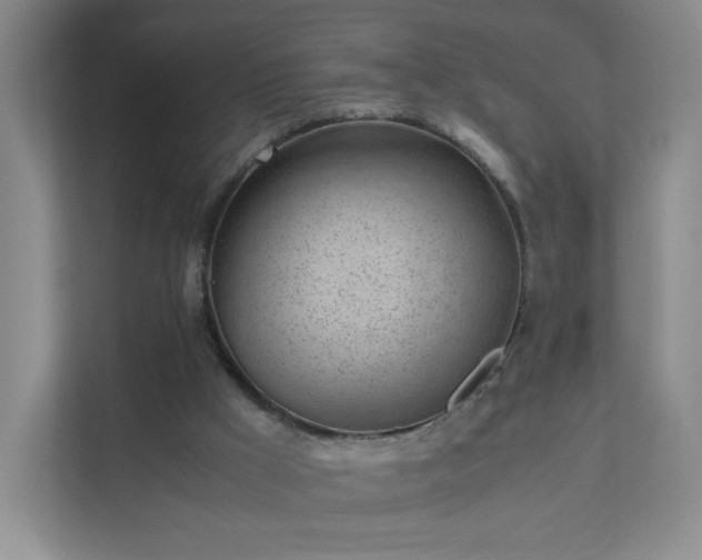 X0000111530009200907211254