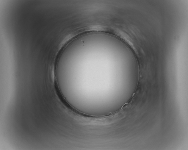 X0000111530011200907211254