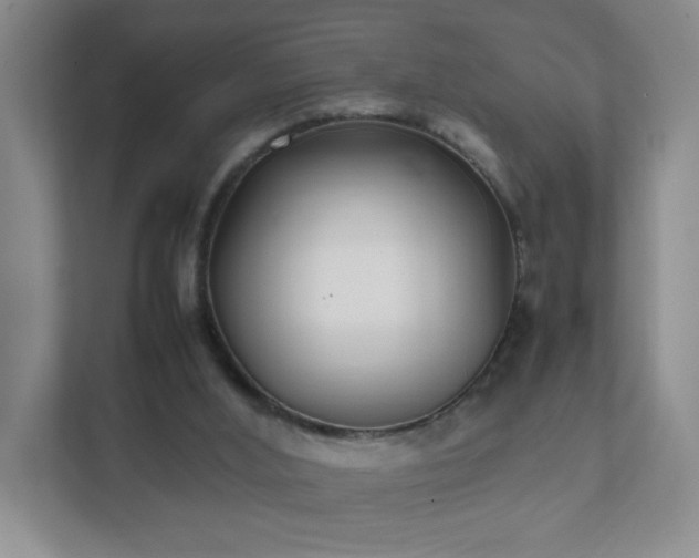 X0000111530012200907211254