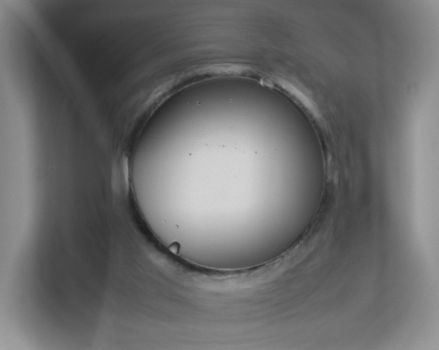 X0000111530013200907211254