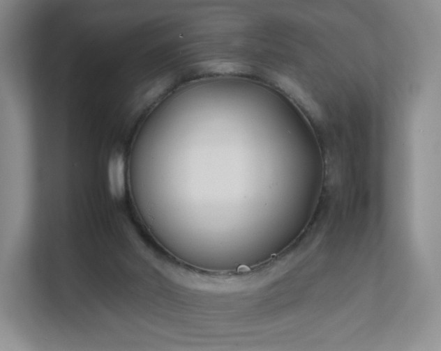 X0000111530014200907211254