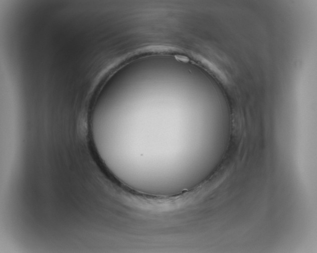 X0000111530015200907211254