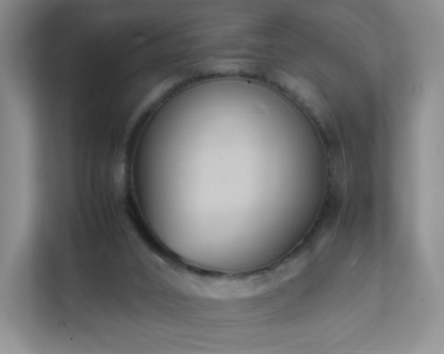 X0000111530016200907211254