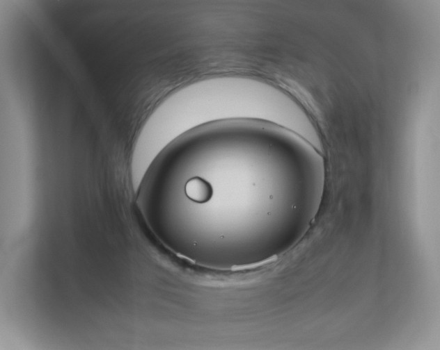 X0000111530017200907211254