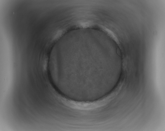 X0000111530018200907211253