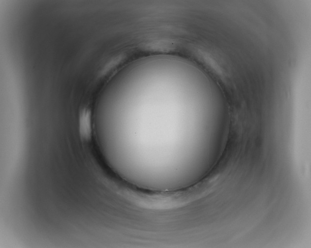 X0000111530020200907211253