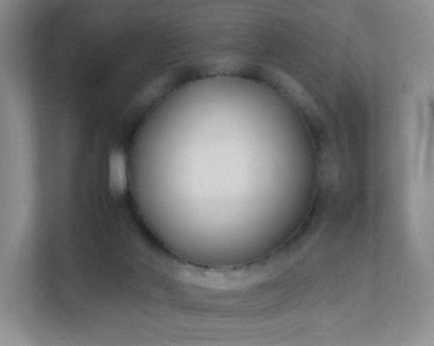 X0000111530022200907211253