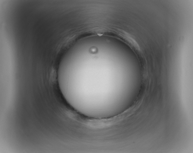 X0000111530025200907211253