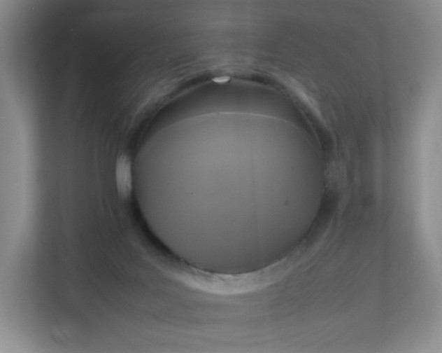 X0000111530027200907211253