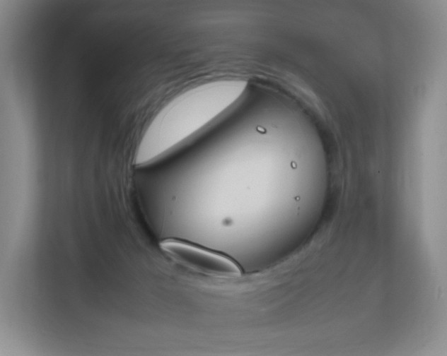 X0000111530029200907211253