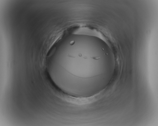 X0000111530031200907211253