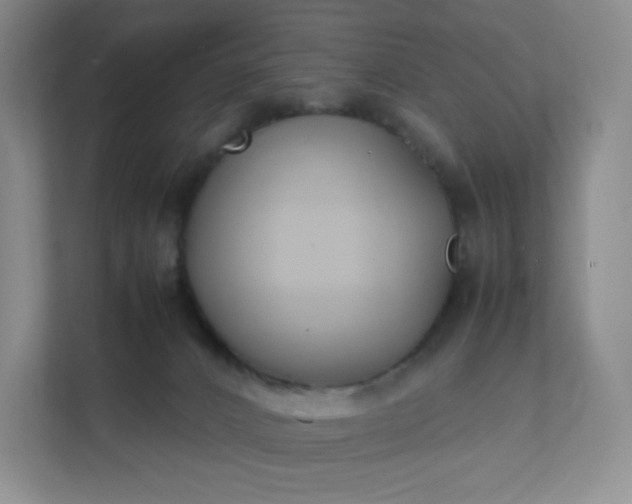 X0000111530032200907211253