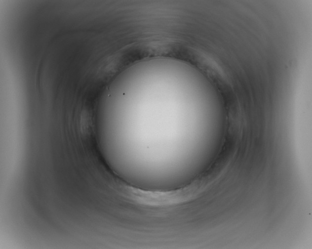 X0000111530034200907211253