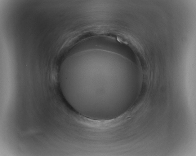 X0000111530035200907211253