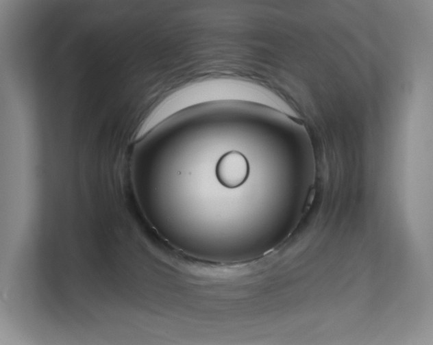 X0000111530036200907211253