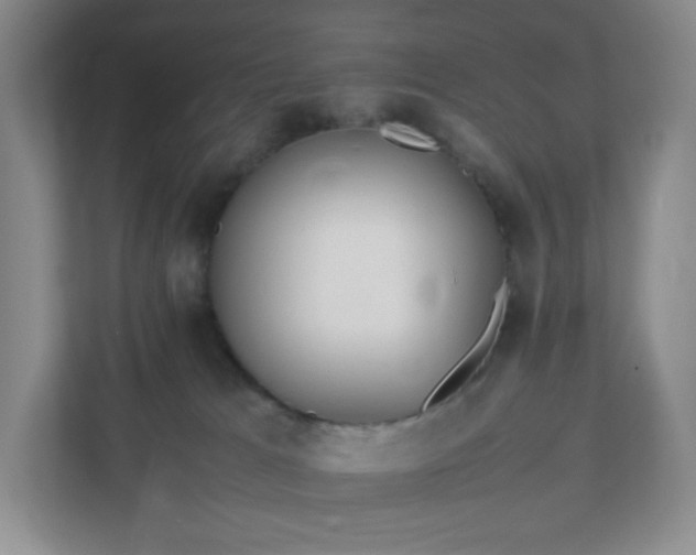 X0000111530037200907211253