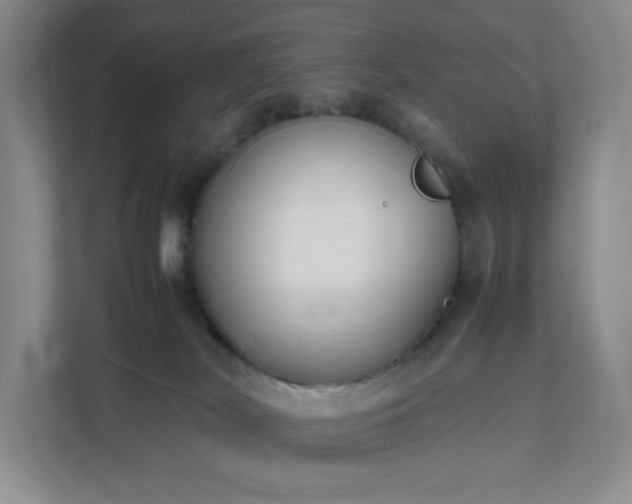 X0000111530038200907211253