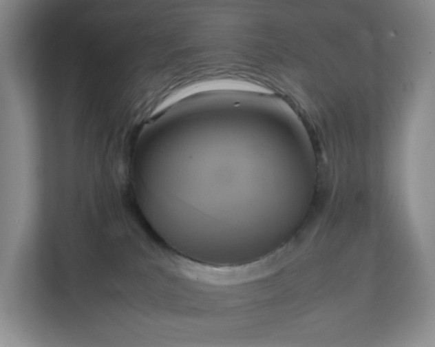 X0000111530039200907211253