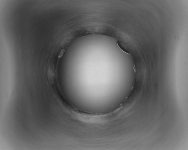 X0000111530040200907211253