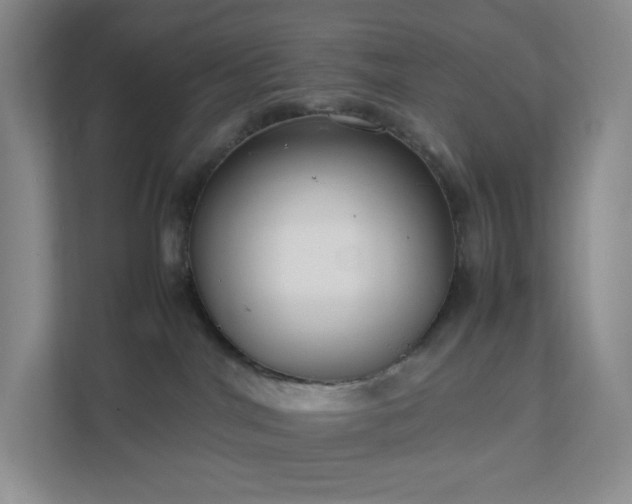 X0000111530044200907211253