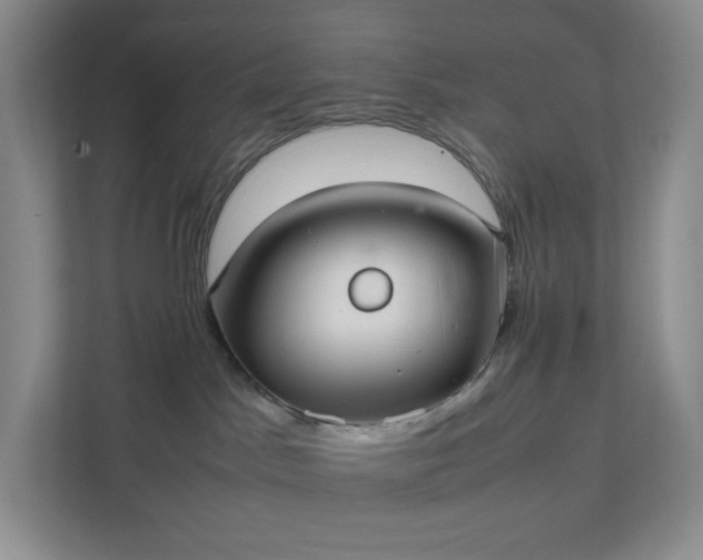 X0000111530045200907211253