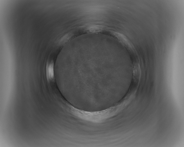 X0000111530046200907211253