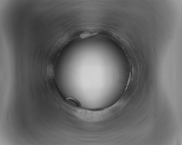 X0000111530048200907211253