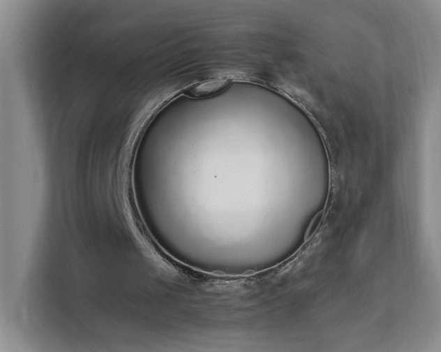 X0000111530049200907211252