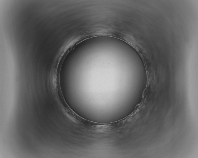 X0000111530050200907211252