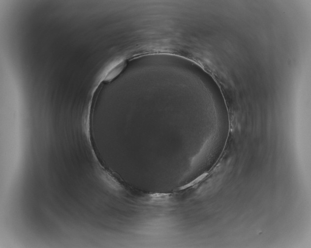 X0000111530052200907211253