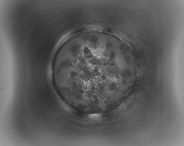 X0000111530053200907211253