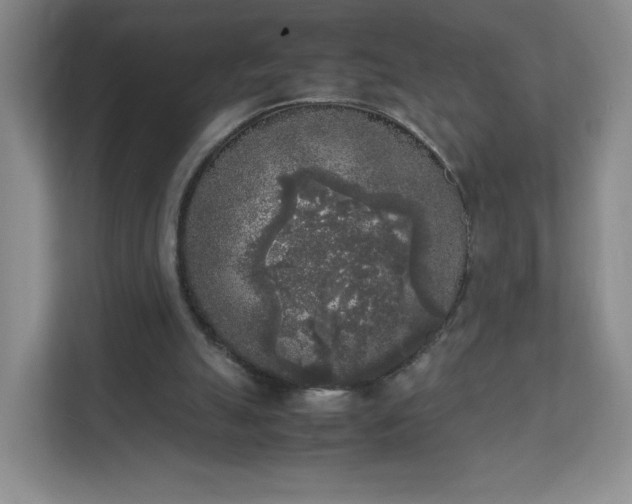 X0000111530055200907211253